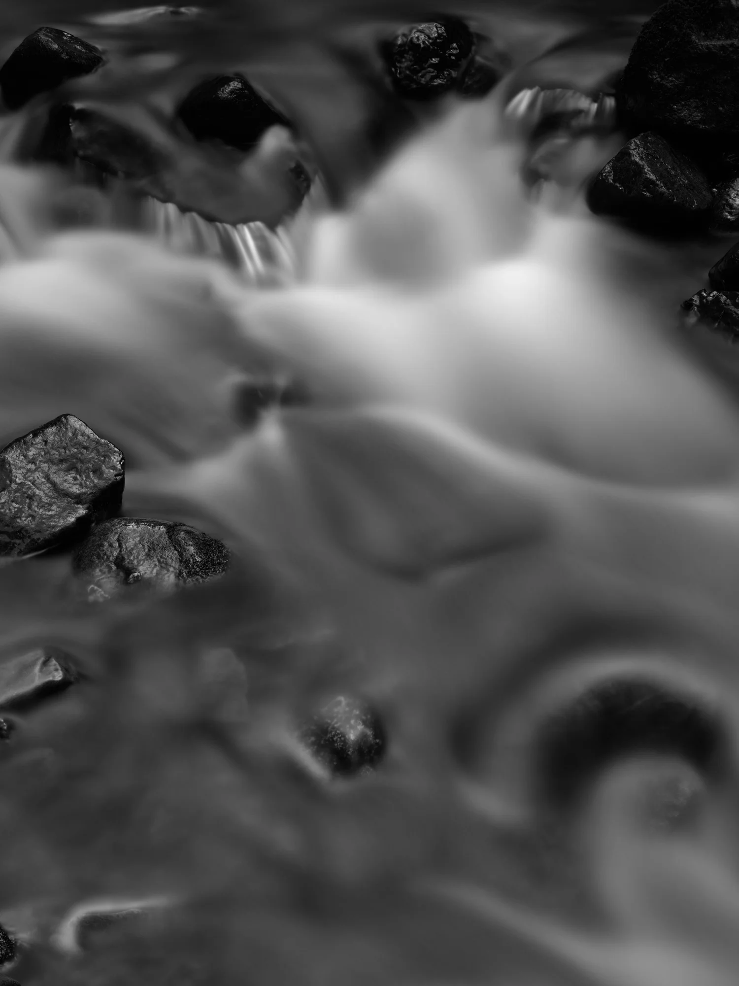 Rain-forest Stream VII